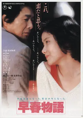 美国电影《午夜放映厅》海报